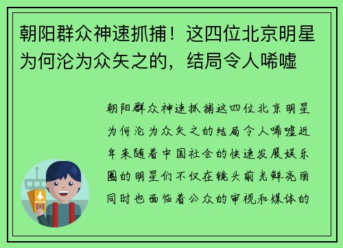 朝阳群众神速抓捕！这四位北京明星为何沦为众矢之的，结局令人唏嘘
