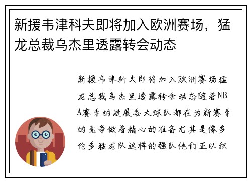 新援韦津科夫即将加入欧洲赛场，猛龙总裁乌杰里透露转会动态